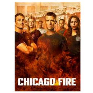 Chicago Fire Seasons 1-4 DVD Box Set